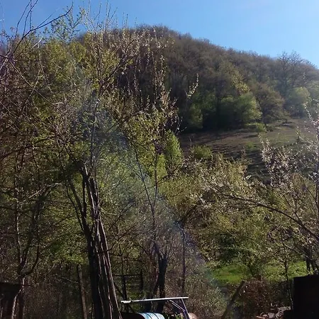 Къща На Боговете